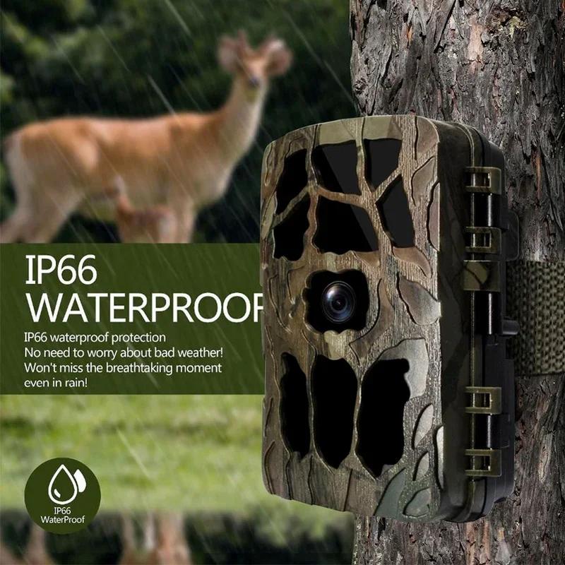 Trail Camera Infrared - H982 IP66 Chống Thấm Nước 4K