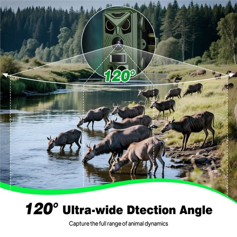 BTLIFE-Wildlife Surveillance 1 - đánh giá và giá Trail Camera Infrared
