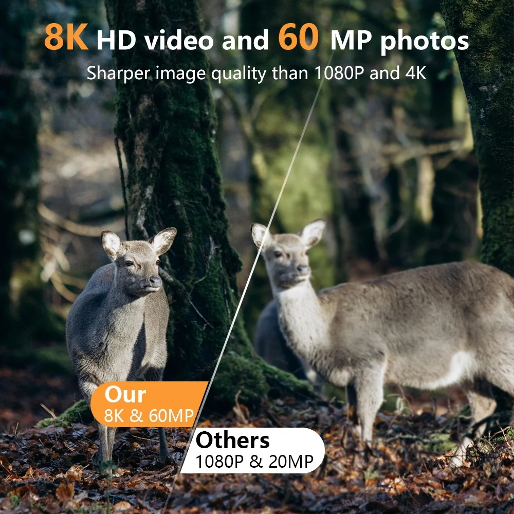 PR803W 8K WiFi Trail Camera -  - đánh giá và giá Trail Camera Infrared