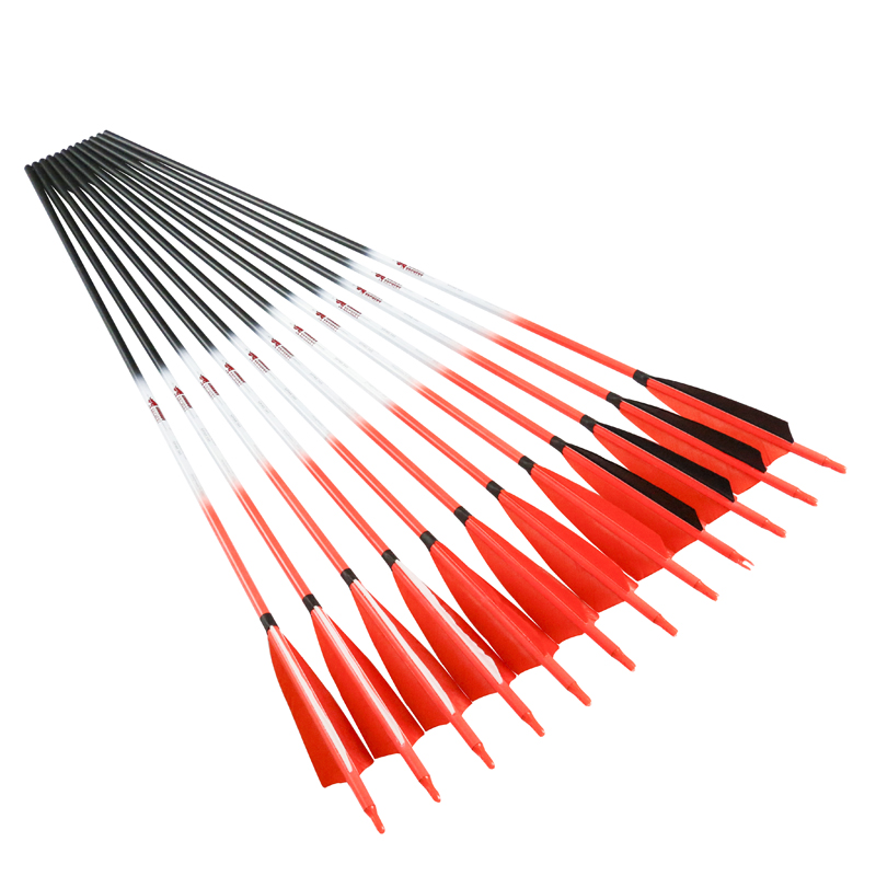 Linkboy Archery Carbon Arrows  - đánh giá và giá Hunting Bow Compound