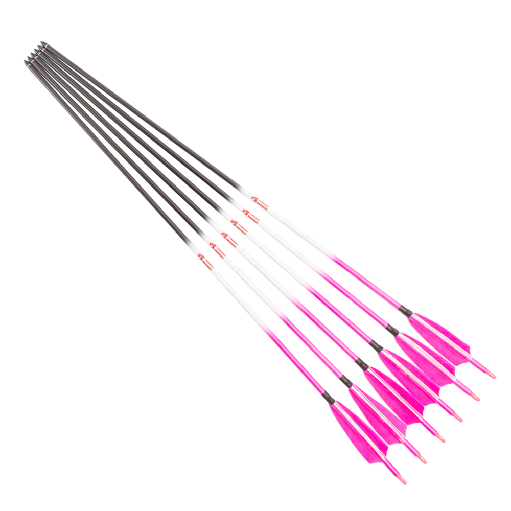 Linkboy Archery Carbon Arrows  - đánh giá và giá Hunting Bow Compound