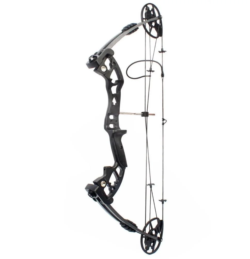 M120 Compound Bow New Design C - đánh giá và giá Hunting Bow Compound
