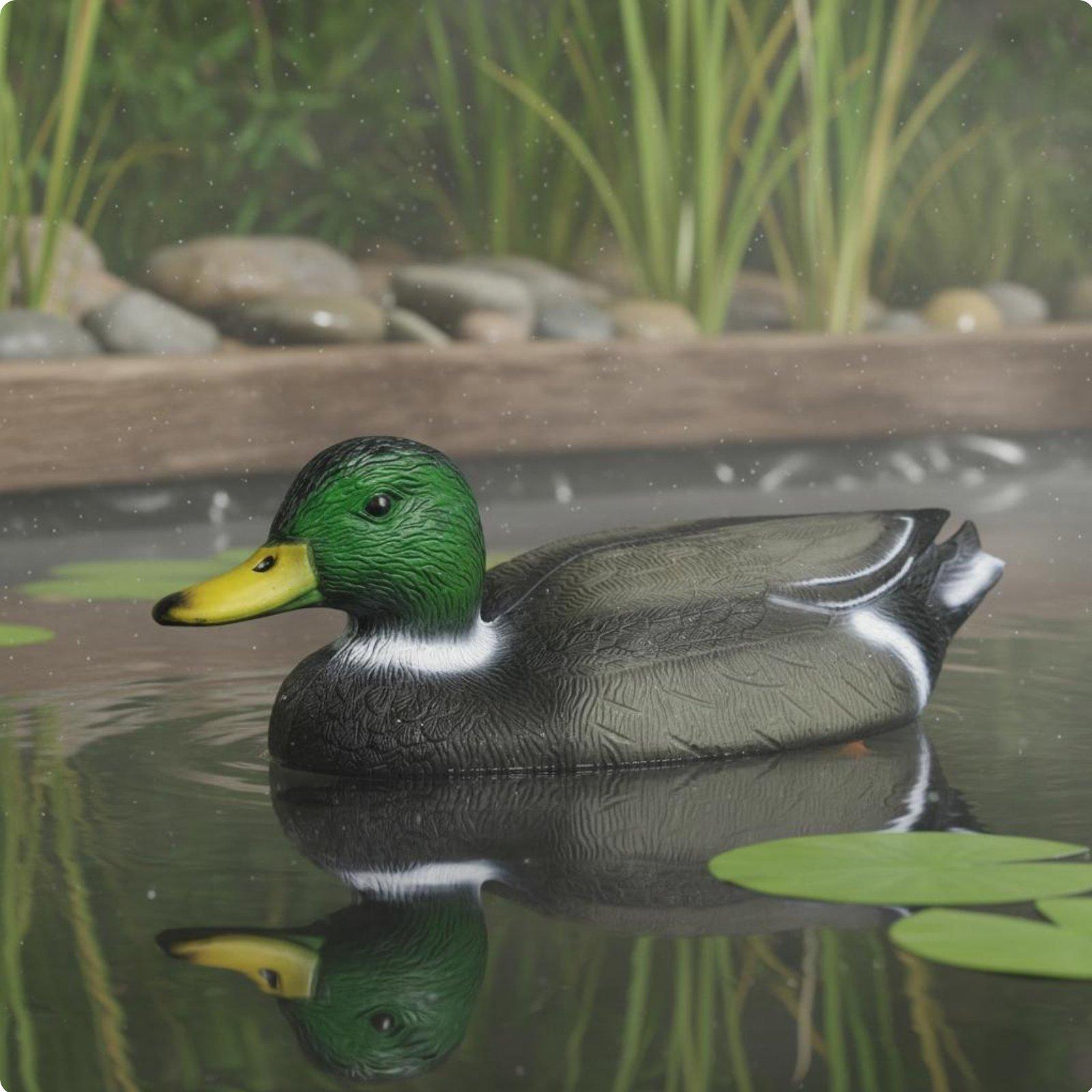 Floating Duck Decoy Realistic  - đánh giá và giá Hunting & Outdoor Supplies Carterton