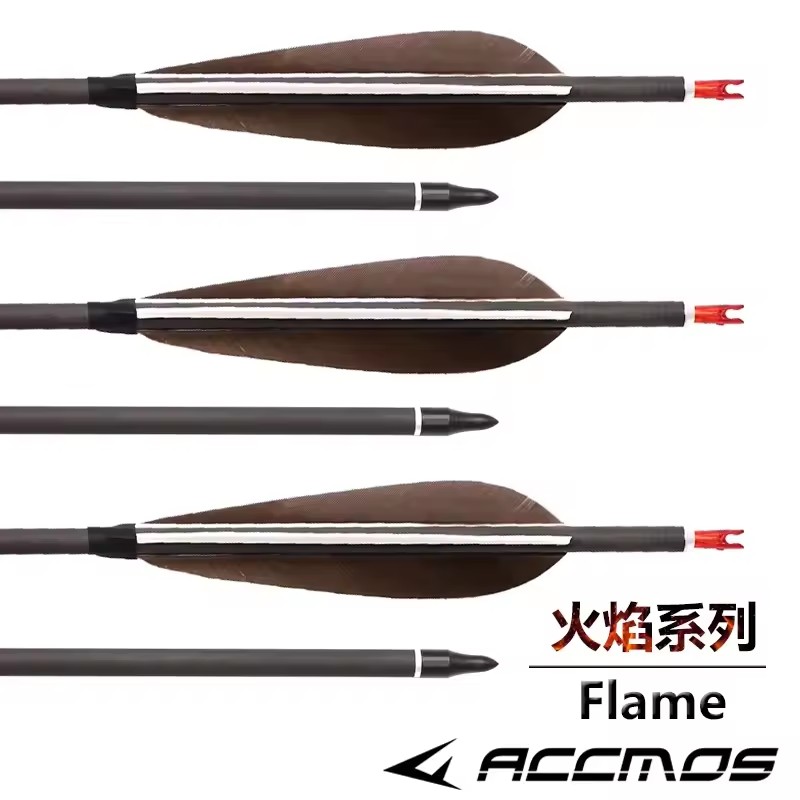 ACCMOS 33inch Pure Carbon Arro - đánh giá và giá Hunting Bow Compound