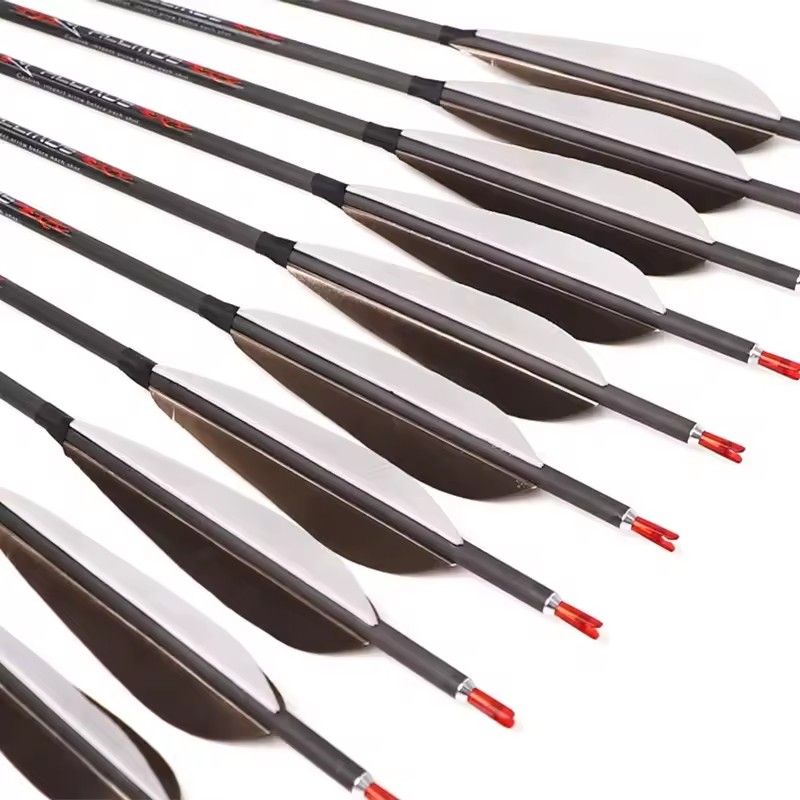 ACCMOS 33inch Pure Carbon Arro - đánh giá và giá Hunting Bow Compound