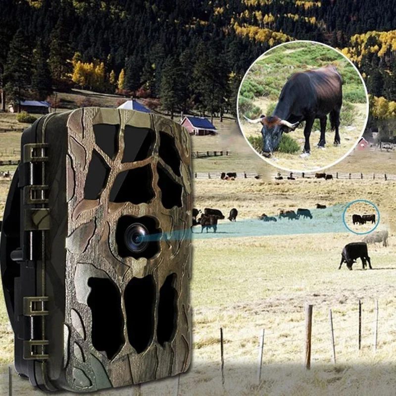 H982 IP66 Chống Thấm Nước 4K H - đánh giá và giá Trail Camera Infrared